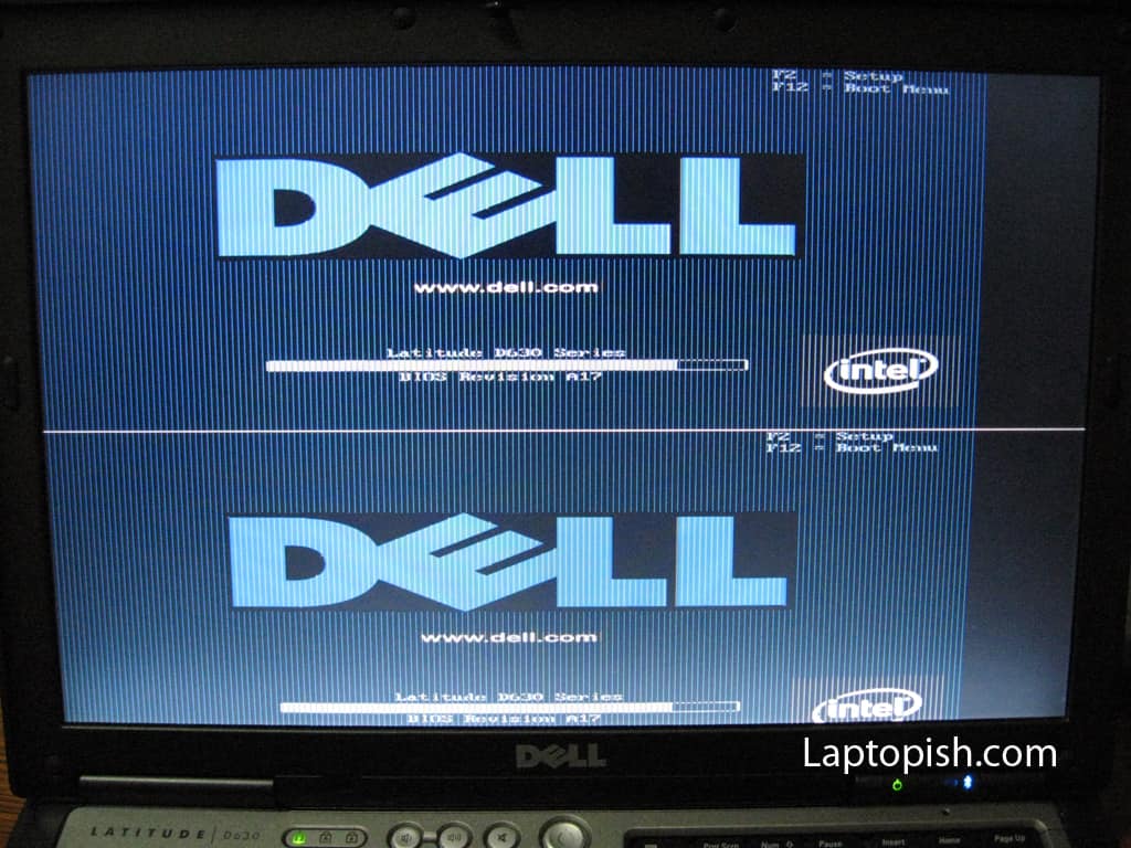 DELL Latitude D630 double image VGA problem | Laptopish.com